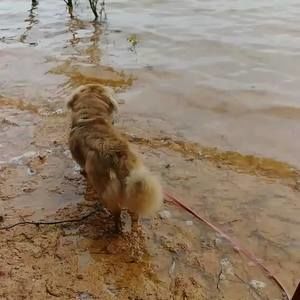 Meet your Posher, Patricia l